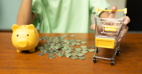 As I carefully placed the shiny coins into my piggy bank, I couldn't help but feel a sense of...