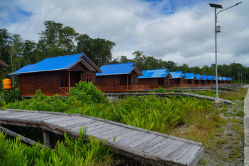 New wooden houses built by the government for residents with a backdrop of still dense forest