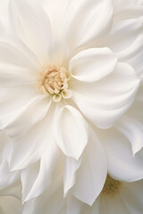 depictions of flowers and natural forms. AI generative