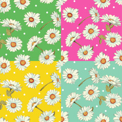 Obraz premium Spring daisy repeat with dot