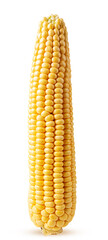 Ear of corn