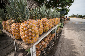 Ananas im Strassenverkauf