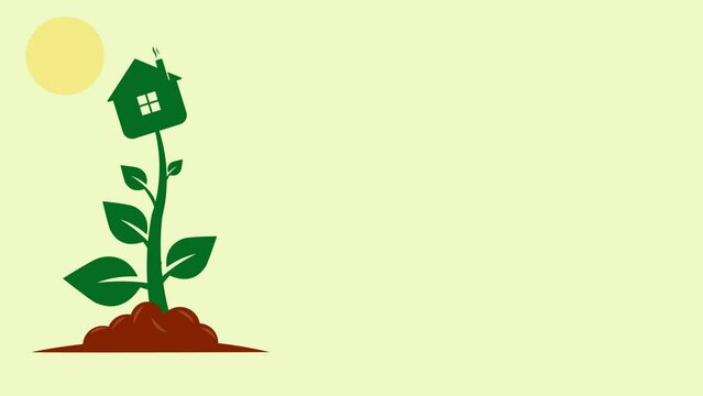 Animated Footage logo business ,A Plant and House with sun Growing Real estate residental 