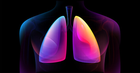 Human Respiratory System Lungs Anatomy. Man silhouette healthy lungs medicine model. Abstract digital blue purple medical illustration isolated on black background. Human Skeleton System Anatomy X-ray