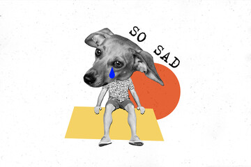 Placard collage picture of headless man sad dachshund unhappy want be adopted zoo alone animal cry...