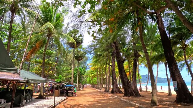 Patong to Naiyang Beach via Kalim Kamala Surin Bangtao Naithorn on the magical island of Phuket Thailand going through beautiful tropical mountains and winding Hill