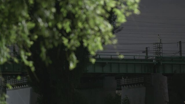 Train Passing Han River Bridge Behind Tree Leaves at Night in Seoul