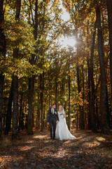 Happy couple. Wedding photo. Couple in love, walking in the forest at sunset, wedding dress with long train, place for advertising