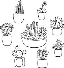 cacti and succulents black and white linear vector image for coloring