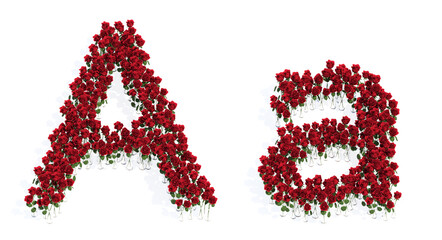 Concept or conceptual set of beautiful blooming red roses bouquets forming the font A. 3d illustration metaphor for education, design and decoration, romance and love, nature, spring or summer.
