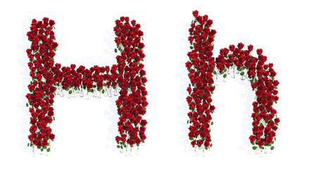 Concept or conceptual set of beautiful blooming red roses bouquets forming the font H. 3d illustration metaphor for education, design and decoration, romance and love, nature, spring or summer.