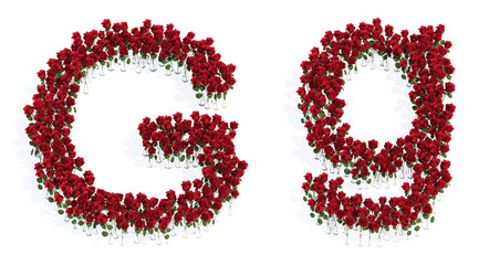 Concept or conceptual set of beautiful blooming red roses bouquets forming the font G. 3d illustration metaphor for education, design and decoration, romance and love, nature, spring or summer.