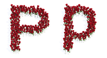 Concept or conceptual set of beautiful blooming red roses bouquets forming the font P. 3d illustration metaphor for education, design and decoration, romance and love, nature, spring or summer.