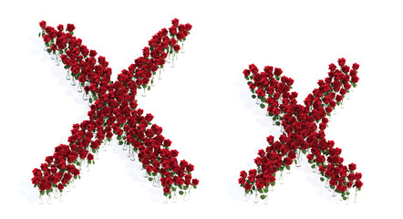 Concept or conceptual set of beautiful blooming red roses bouquets forming the font X. 3d illustration metaphor for education, design and decoration, romance and love, nature, spring or summer.
