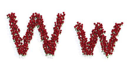 Concept or conceptual set of beautiful blooming red roses bouquets forming the font W. 3d illustration metaphor for education, design and decoration, romance and love, nature, spring or summer.