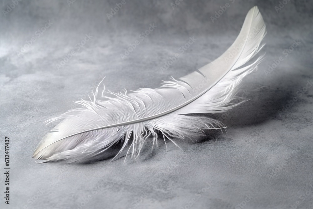 Poster a white feather on a gray background with a shadow of a bird's wing on the left side of the feather 