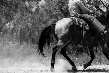 Cowboy riding dun horse in black and white during summer on western ranch, dust in motion with copy space on background.