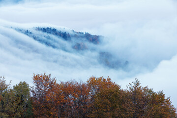 Krajobraz jesienny. Mglisty poranek w górach, Polska