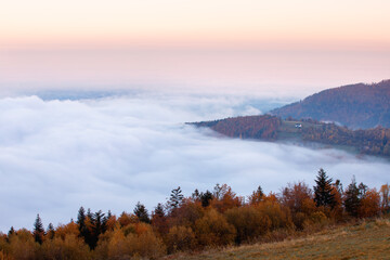 Krajobraz jesienny. Mglisty poranek w górach, Polska © anettastar