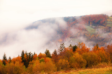 Krajobraz jesienny. Mglisty poranek w górach, Polska - obrazy, fototapety, plakaty