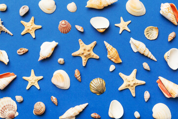 Summer time concept Flat lay composition with beautiful starfish and sea shells on colored table, top view