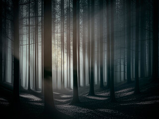 Rising full moon in the dark forest