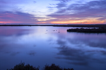 Fototapeta na wymiar Sunrise in the wetlands of the Camargue
