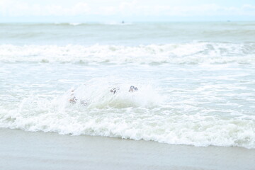 soft wave of the sea 