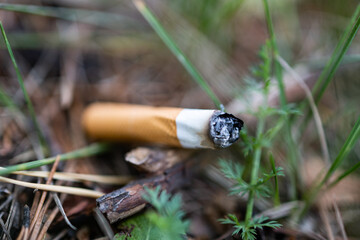 A cigarette butt thrown in nature