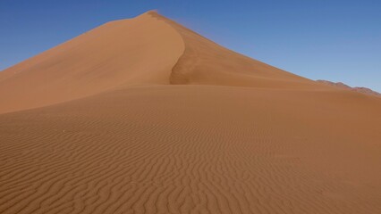 Fototapeta na wymiar Sanddünen in der Namibwüste in Namibia 