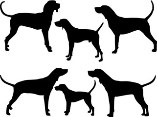 Set of Treeing Walker Dog Silhouette