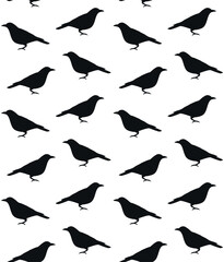 Vector seamless pattern of hand drawn crow silhouette isolated on white background