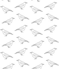 Vector seamless pattern of hand drawn doodle sketch catbird bird isolated on white background