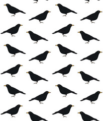 Vector seamless pattern of hand drawn catbird bird silhouette isolated on white background