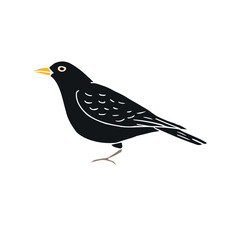 Vector hand drawn doodle sketch black catbird bird isolated on white background