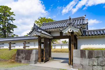 神奈川県小田原市　小田原城と桜の風景
