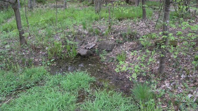 Ederquelle is the source of the river Eder in the Rothaargebierge mountains in Germany.