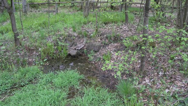 Ederquelle is the source of the river Eder in the Rothaargebierge mountains in Germany.
