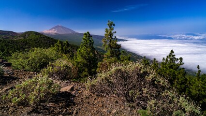 Beautiful landscape of Teide volcano enveloped in fog in Tenerife, Canary Islands, Spain