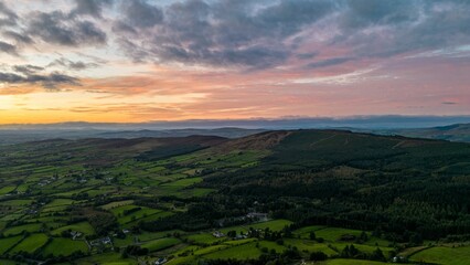 Aerial view of greenery fields with dense trees during sunset