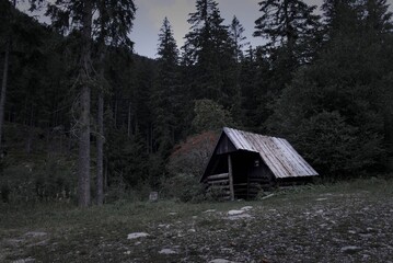 Small wooden forest house surrounded by trees in Ziarska Dolina valley, High Tatras, Slovakia