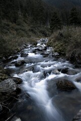 Long exposure river flowing over rocks in Ziarska Dolina valley, High Tatras, Slovakia