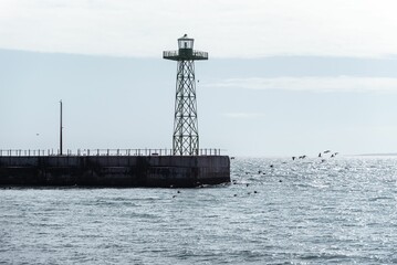 Pier with an observation tower and flock of birds flying near the sea