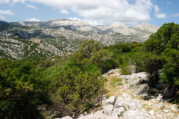 Il sentiero dal cuile Sas Traes al cuile Sos Mojos