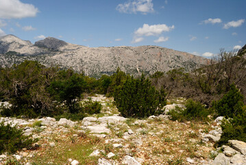 Il sentiero dal cuile Sas Traes al cuile Sos Mojos, sullo sfondo il Supramonte di Oliena