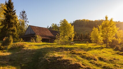 Fototapeta premium Wooden rural house in a green forest