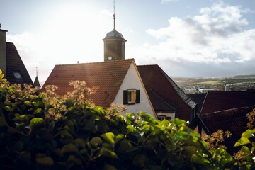 German houses behind plants against blue cloudy sky in Herrenberg town