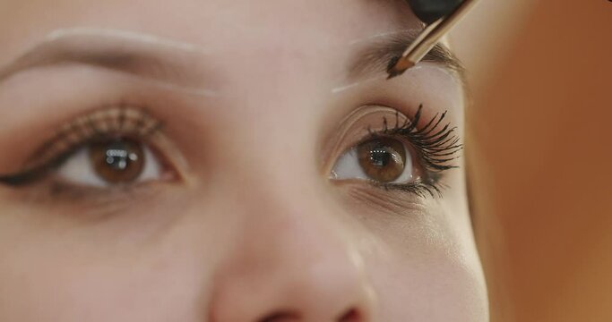 The master brow corrects the shape of the eyebrows with a brush. Eyebrow tinting procedure with henna in a beauty salon. A professional cosmetologist makes make-up. Face of a young girl close-up.