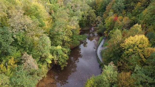 Aerial of a beautiful still lake in Sovata, Romania surrounded by a dense forest with leafy trees