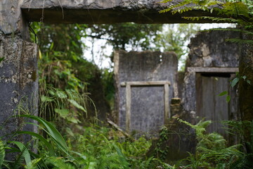 Fototapeta na wymiar Ruins of an abandoned house in the jungle